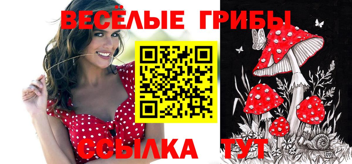 Галлюциногенные грибы MAGIC MUSHROOMS Красноуфимск