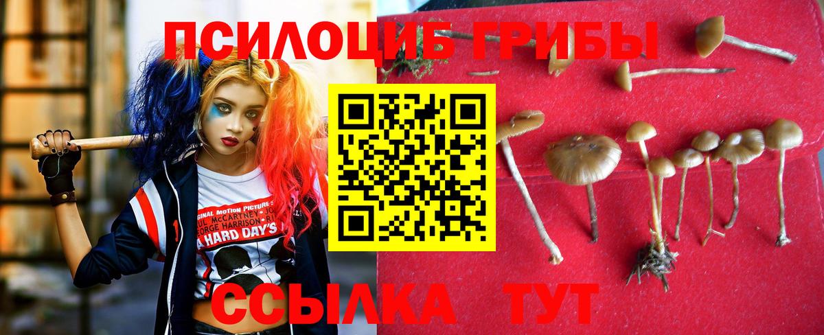 Галлюциногенные грибы мухоморы  Галлюциногенные грибы мицелий  Вход с VPN  Красноуфимск 